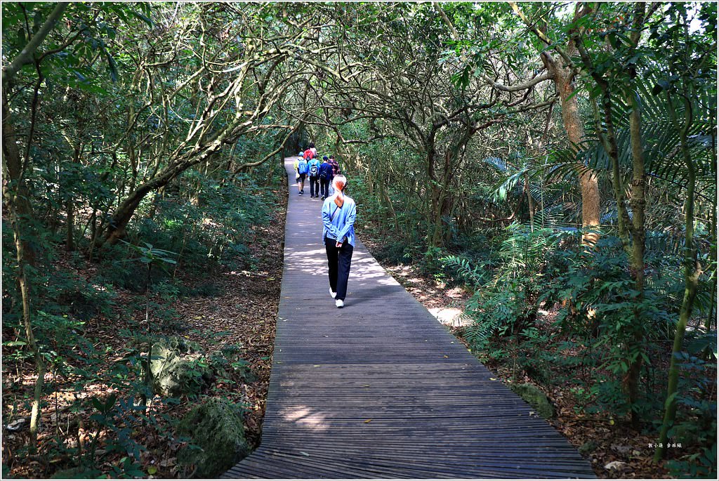 壽山國家公園‧高雄人的後山,柴山盤榕道讓你永生難忘~我為什麼要來這! - 第9張圖 IMG_8437