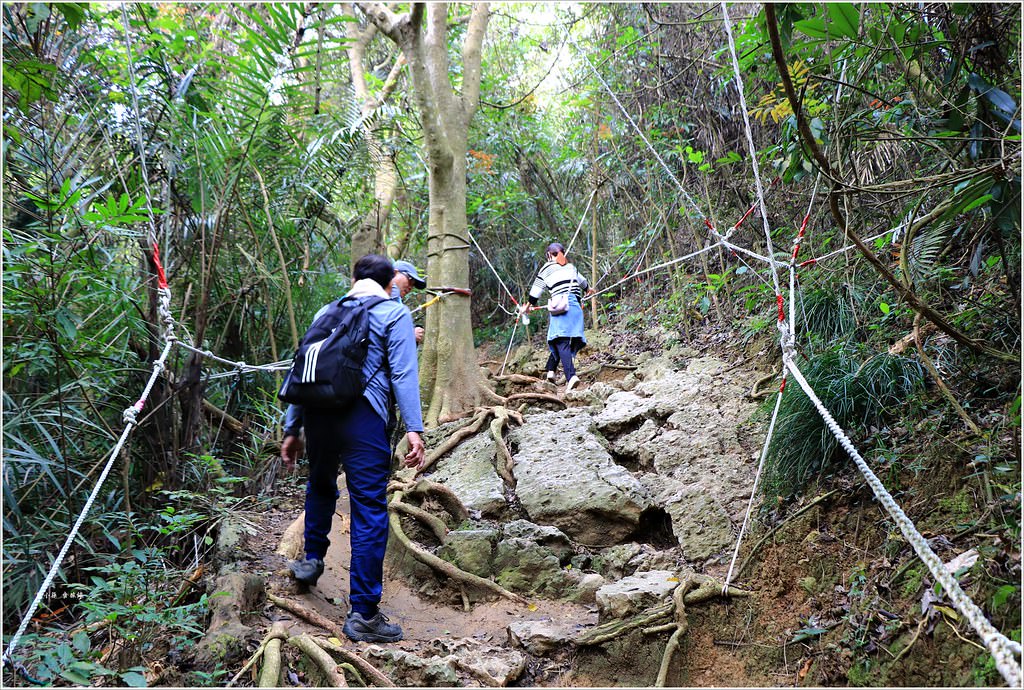 壽山國家公園‧高雄人的後山,柴山盤榕道讓你永生難忘~我為什麼要來這! - 第17張圖 IMG_8452