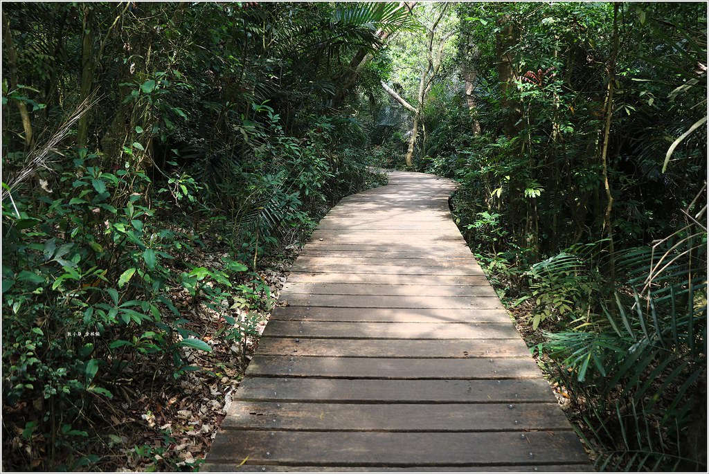 壽山國家公園‧高雄人的後山,柴山盤榕道讓你永生難忘~我為什麼要來這! - 第48張圖 IMG_8555