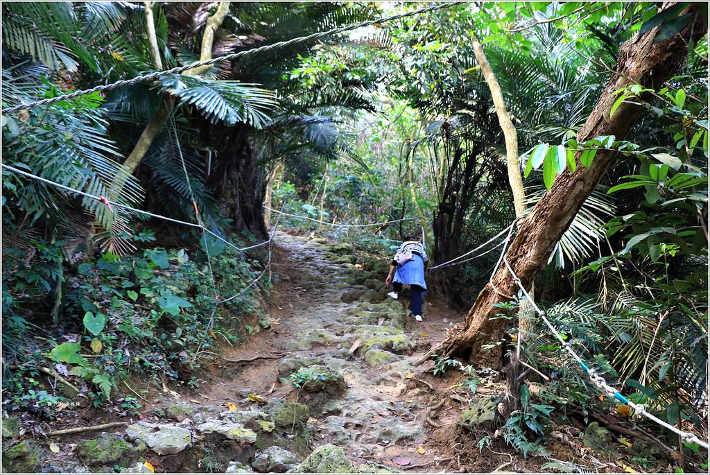 壽山國家公園‧高雄人的後山,柴山盤榕道讓你永生難忘~我為什麼要來這! - 第26張圖 IMG_8472