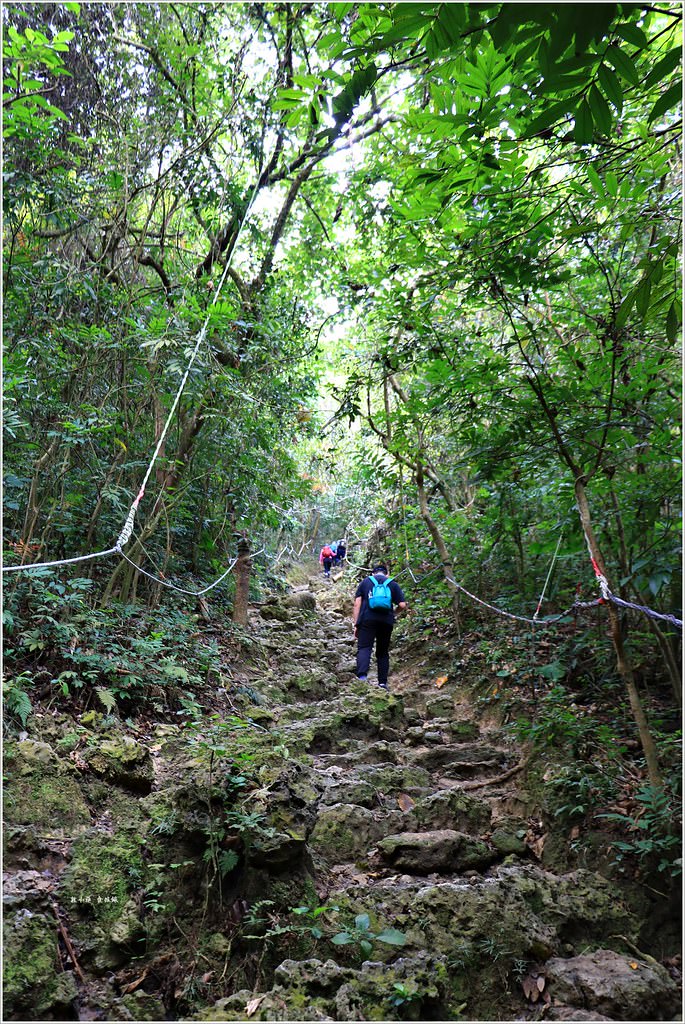 壽山國家公園‧高雄人的後山,柴山盤榕道讓你永生難忘~我為什麼要來這! - 第19張圖 IMG_8459