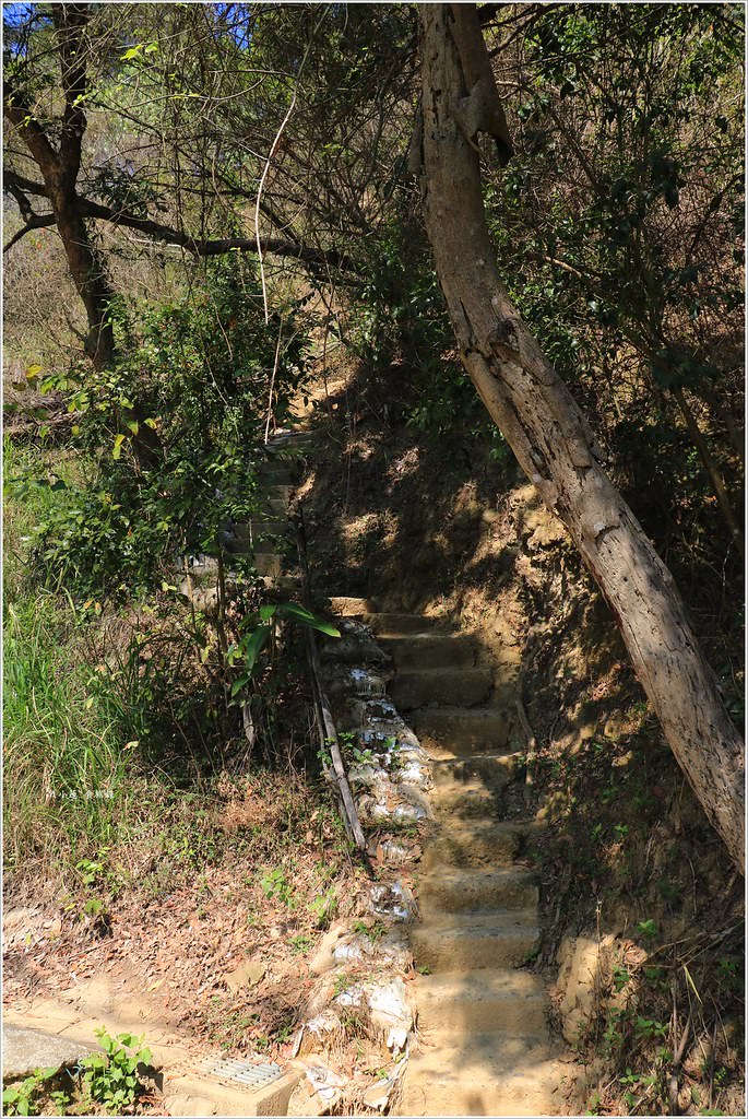 大社觀音山風景區‧大覺寺最陡的天梯,500梯一口氣爬完保證。。。沒氣 - 第40張圖 IMG_9077