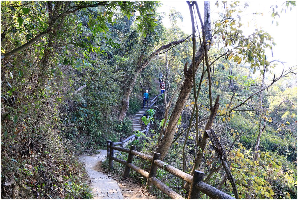 大社觀音山風景區‧大覺寺最陡的天梯,500梯一口氣爬完保證。。。沒氣 - 第14張圖 IMG_9013