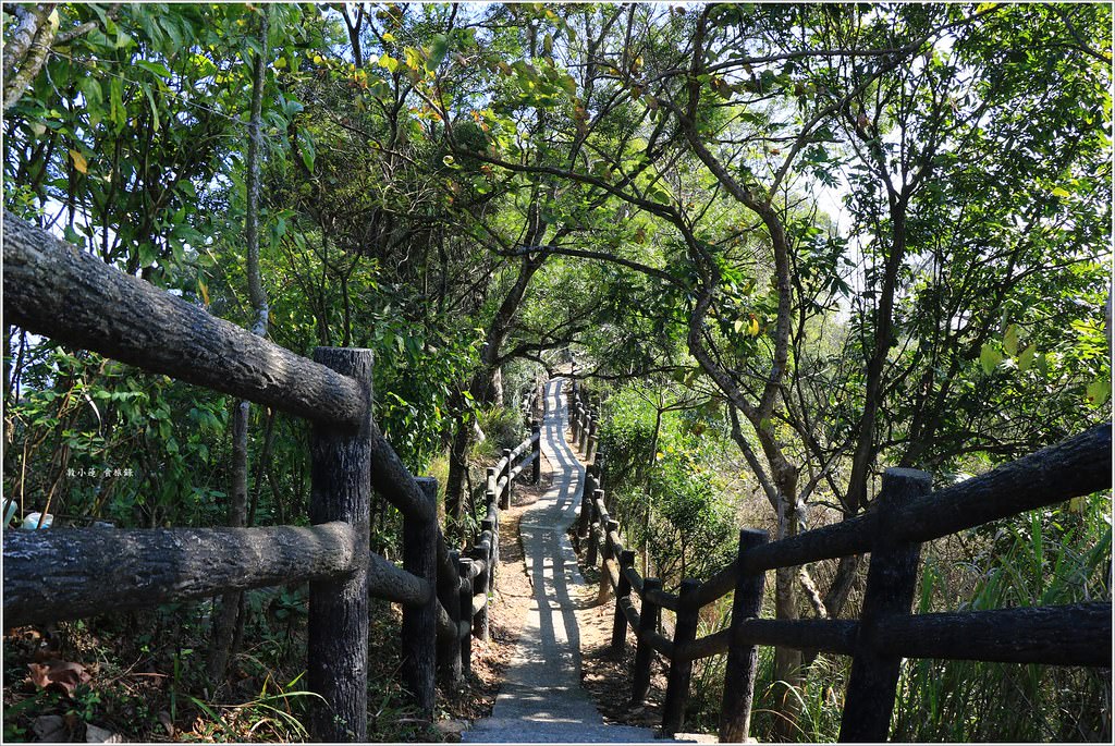 大社觀音山風景區‧大覺寺最陡的天梯,500梯一口氣爬完保證。。。沒氣 - 第20張圖 IMG_9028