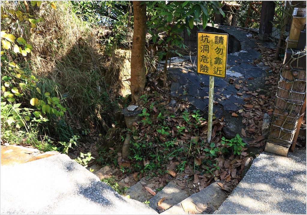 大社觀音山風景區‧大覺寺最陡的天梯,500梯一口氣爬完保證。。。沒氣 - 第27張圖 IMG_9048