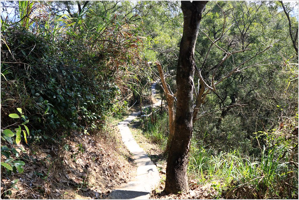 大社觀音山風景區‧大覺寺最陡的天梯,500梯一口氣爬完保證。。。沒氣 - 第33張圖 IMG_9054