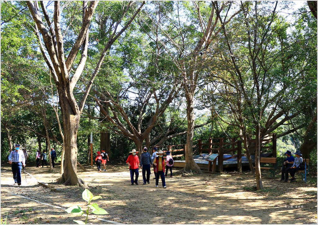 大社觀音山風景區‧大覺寺最陡的天梯,500梯一口氣爬完保證。。。沒氣 - 第42張圖 IMG_9080