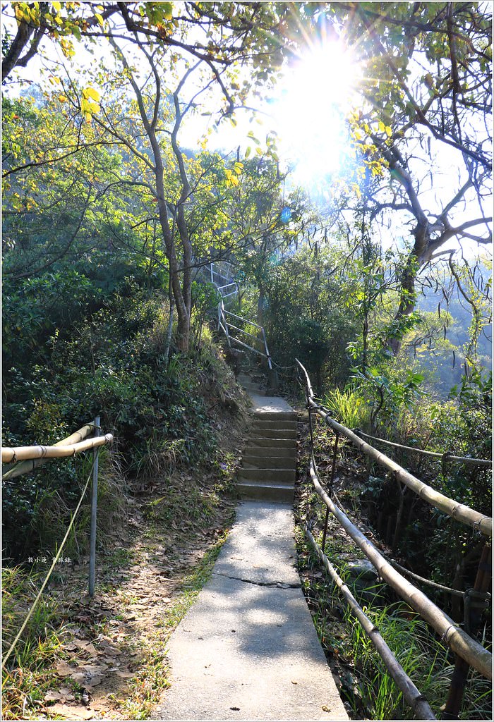 大社觀音山風景區‧大覺寺最陡的天梯,500梯一口氣爬完保證。。。沒氣 - 第10張圖 IMG_9008