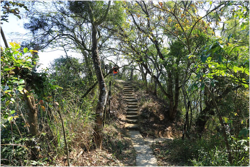 大社觀音山風景區‧大覺寺最陡的天梯,500梯一口氣爬完保證。。。沒氣 - 第29張圖 IMG_9061