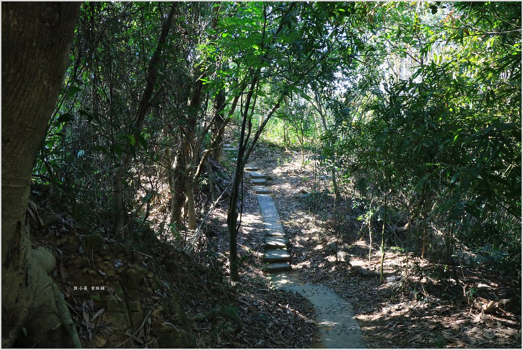 大社觀音山風景區‧大覺寺最陡的天梯,500梯一口氣爬完保證。。。沒氣 - 第35張圖 IMG_9068