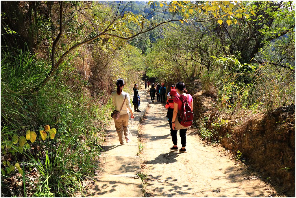 大社觀音山風景區‧大覺寺最陡的天梯,500梯一口氣爬完保證。。。沒氣 - 第41張圖 IMG_9079