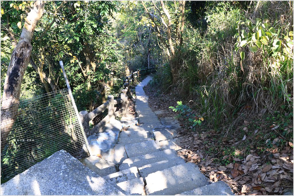 大社觀音山風景區‧大覺寺最陡的天梯,500梯一口氣爬完保證。。。沒氣 - 第16張圖 IMG_9022