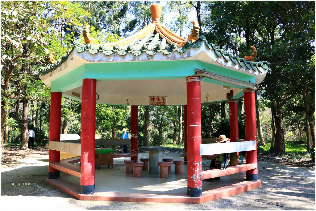 大社觀音山風景區‧大覺寺最陡的天梯,500梯一口氣爬完保證。。。沒氣 - 第45張圖 IMG_9084