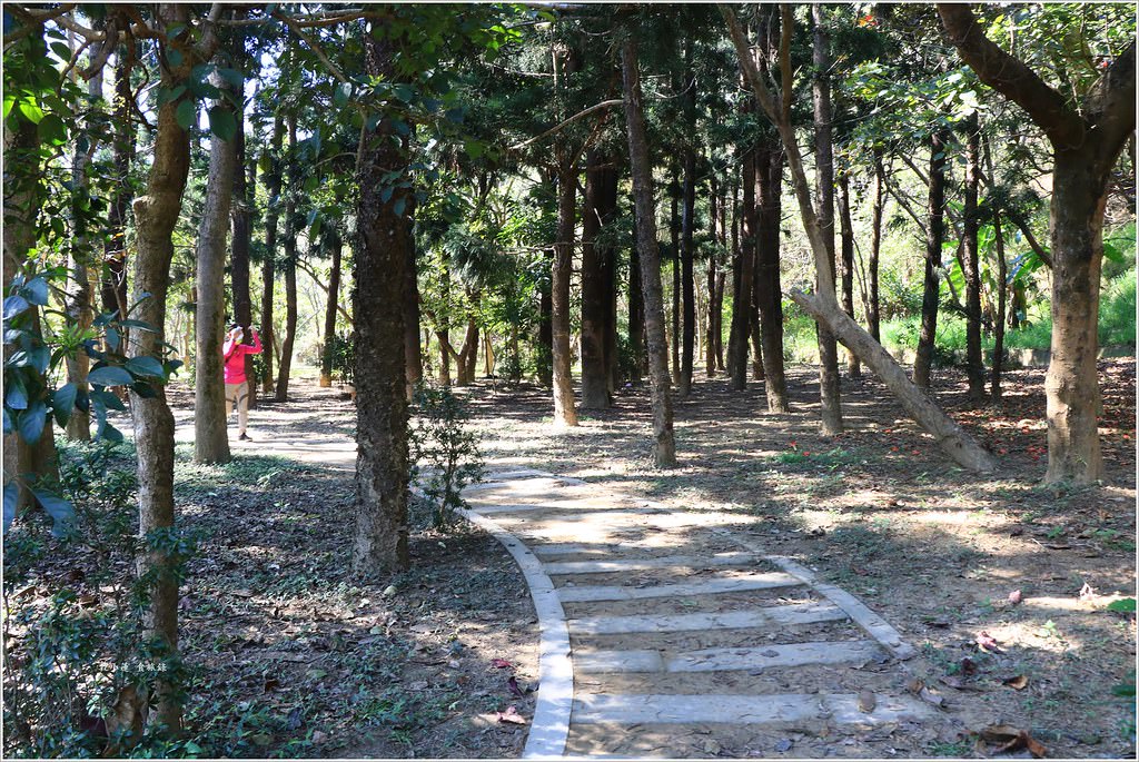 大社觀音山風景區‧大覺寺最陡的天梯,500梯一口氣爬完保證。。。沒氣 - 第44張圖 IMG_9082