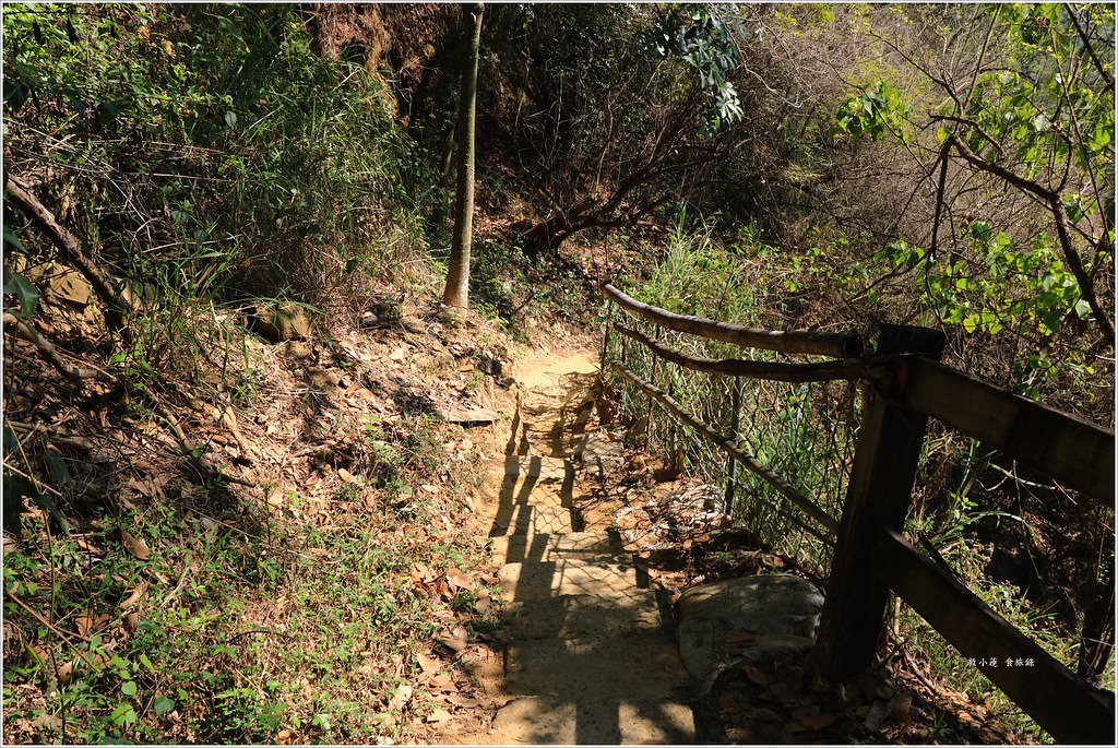 大社觀音山風景區‧大覺寺最陡的天梯,500梯一口氣爬完保證。。。沒氣 - 第39張圖 IMG_9075