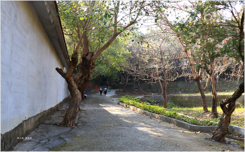 大社觀音山風景區‧大覺寺最陡的天梯,500梯一口氣爬完保證。。。沒氣 - 第5張圖 IMG_8995