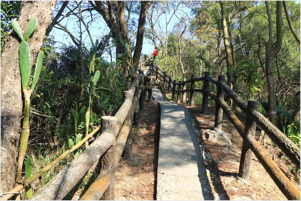 大社觀音山風景區‧大覺寺最陡的天梯,500梯一口氣爬完保證。。。沒氣 - 第19張圖 IMG_9024