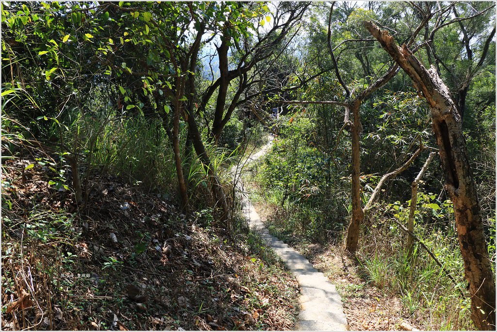 大社觀音山風景區‧大覺寺最陡的天梯,500梯一口氣爬完保證。。。沒氣 - 第34張圖 IMG_9066