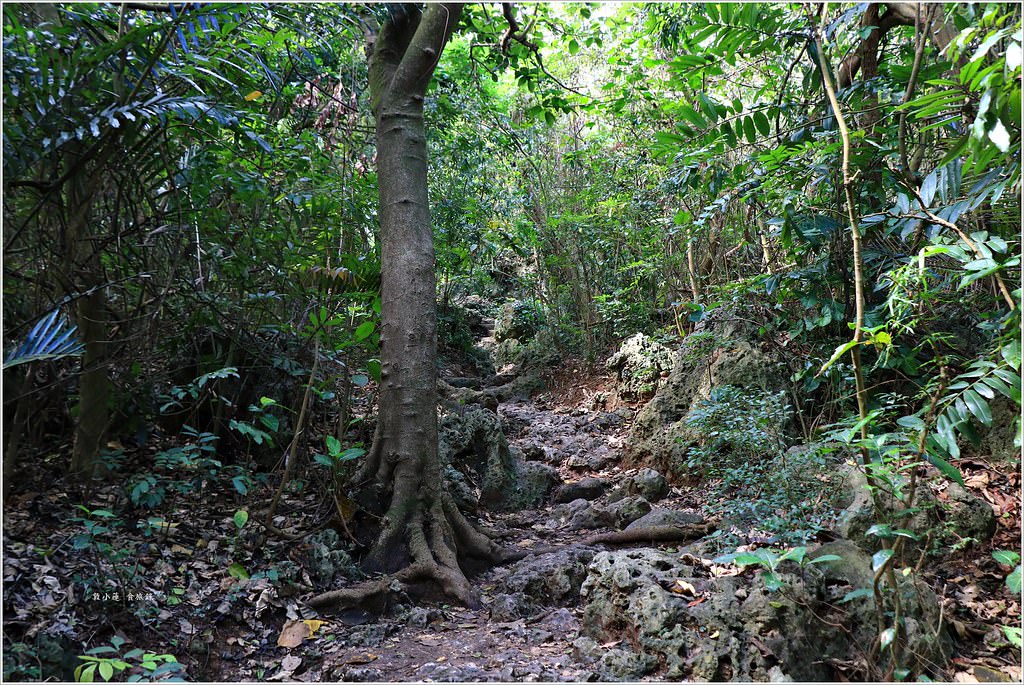 壽山國家公園‧柴山台泥舊地磅輸送口遺址,超多野生動物,行走3小時才走到出口 - 第7張圖 IMG_0156