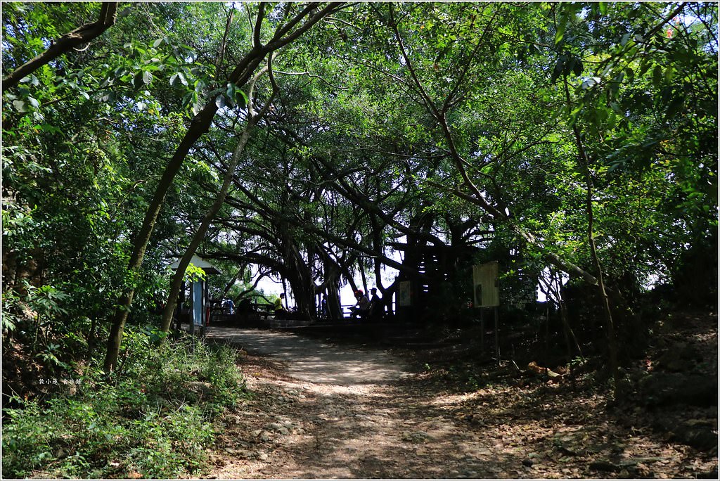 壽山國家公園‧柴山台泥舊地磅輸送口遺址,超多野生動物,行走3小時才走到出口 - 第26張圖 IMG_0236
