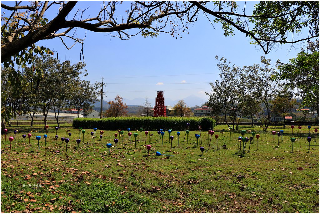 美濃湖‧湖中之美盡在美濃,環湖步道與單車共齊,幽靜的大自然花園 - 第22張圖 IMG_9383