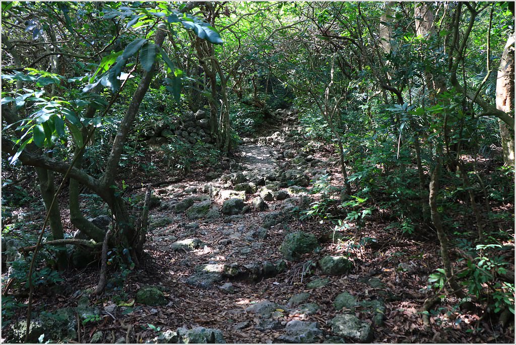壽山國家公園‧柴山台泥舊地磅輸送口遺址,超多野生動物,行走3小時才走到出口 - 第4張圖 IMG_0146