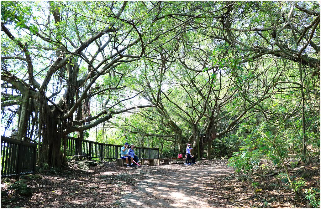 壽山國家公園‧柴山台泥舊地磅輸送口遺址,超多野生動物,行走3小時才走到出口 - 第22張圖 IMG_0226