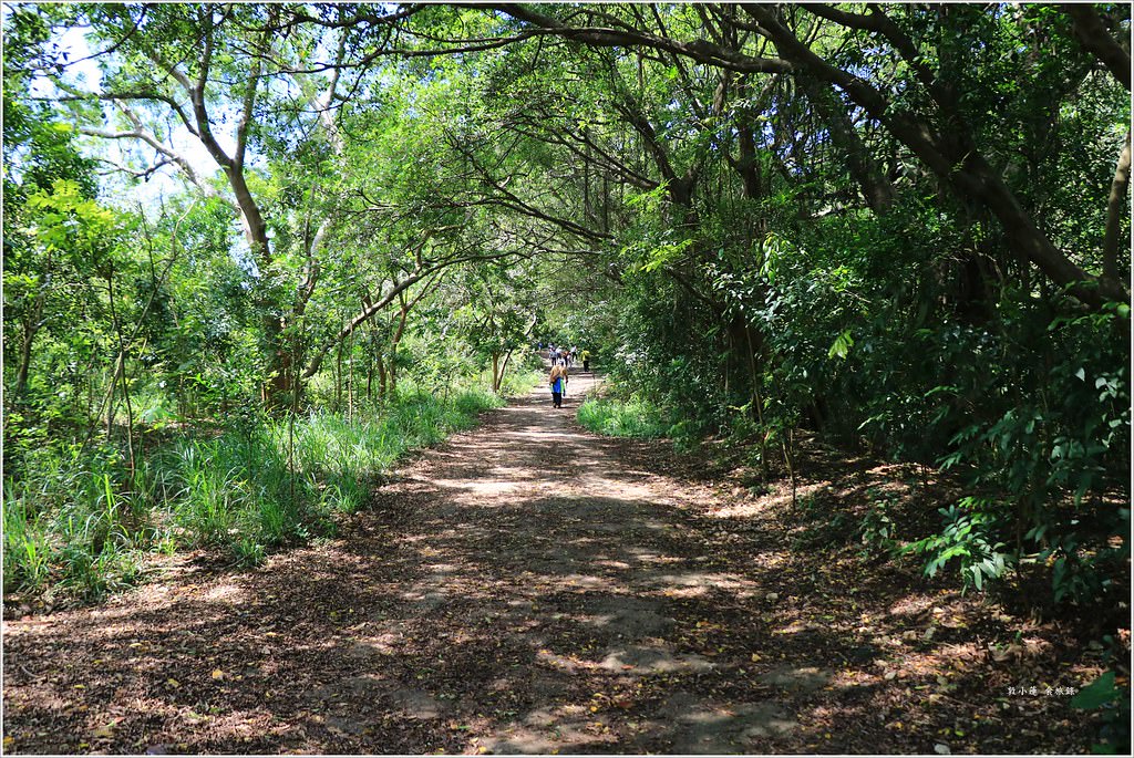 壽山國家公園‧柴山台泥舊地磅輸送口遺址,超多野生動物,行走3小時才走到出口 - 第24張圖 IMG_0233