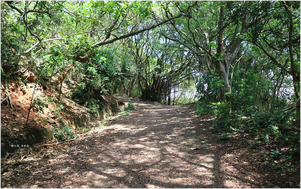 壽山國家公園‧柴山台泥舊地磅輸送口遺址,超多野生動物,行走3小時才走到出口 - 第30張圖 IMG_0259
