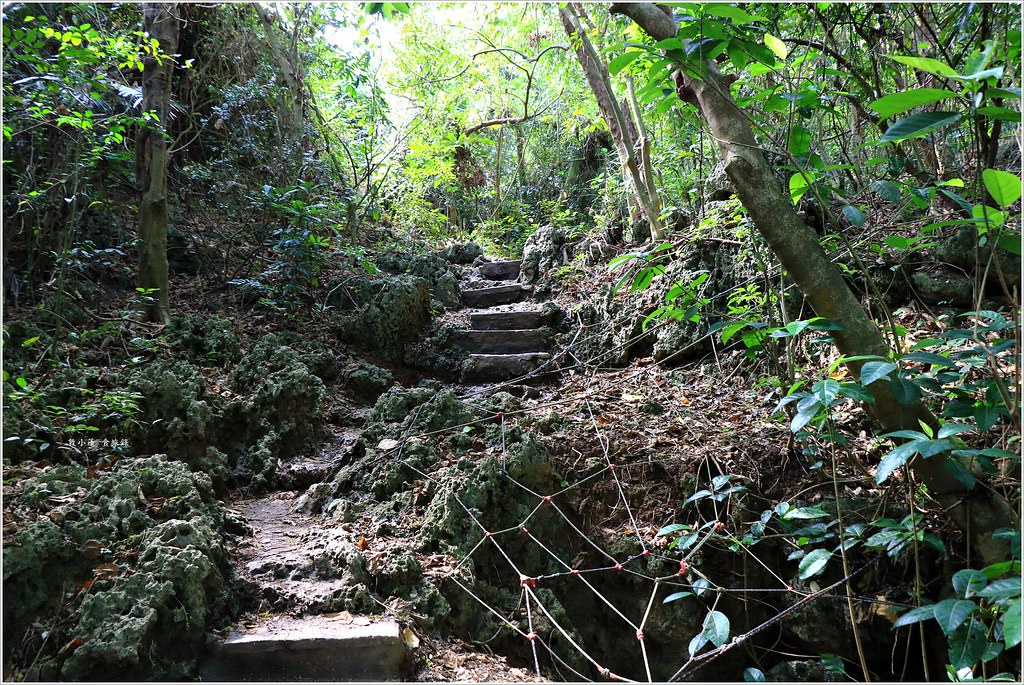 壽山國家公園‧柴山台泥舊地磅輸送口遺址,超多野生動物,行走3小時才走到出口 - 第6張圖 IMG_0155