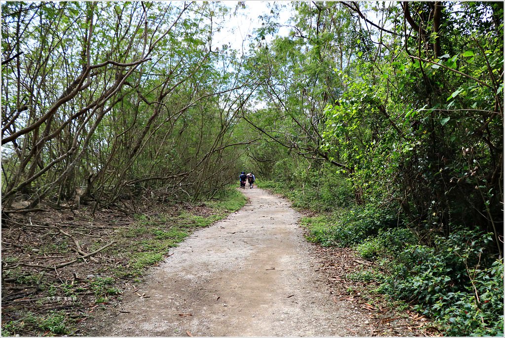 壽山國家公園‧柴山台泥舊地磅輸送口遺址,超多野生動物,行走3小時才走到出口 - 第12張圖 IMG_0183