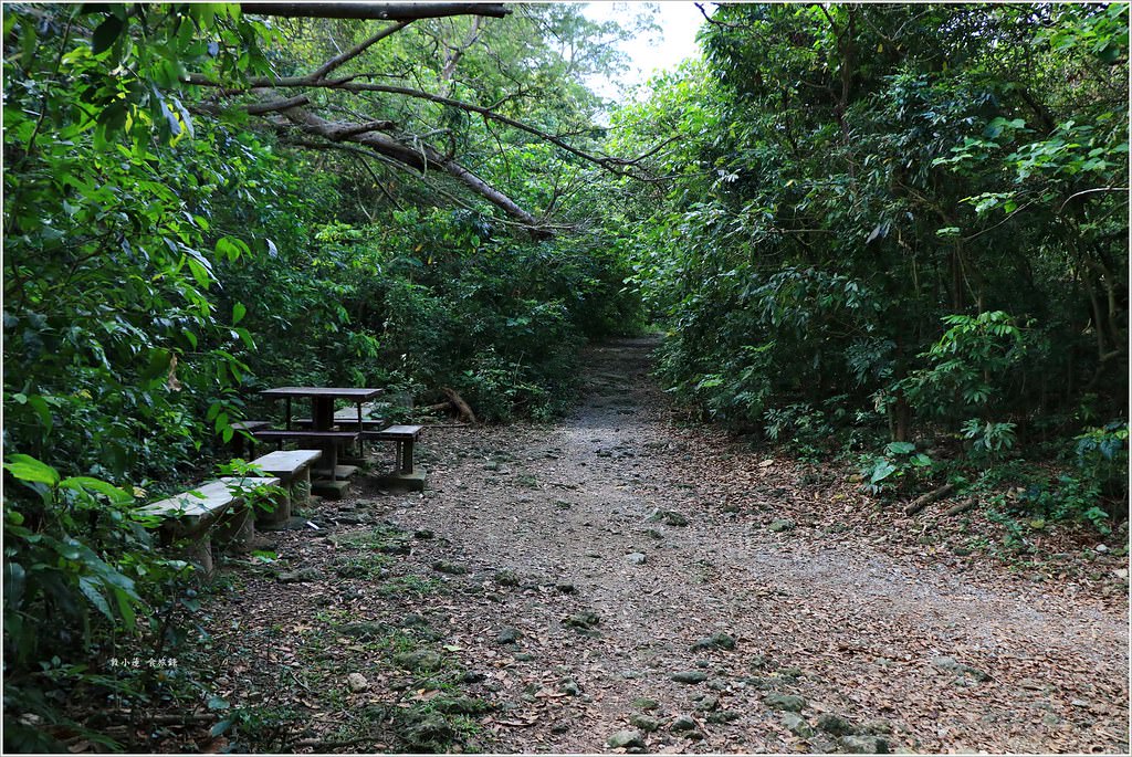 壽山國家公園‧柴山台泥舊地磅輸送口遺址,超多野生動物,行走3小時才走到出口 - 第8張圖 IMG_0158