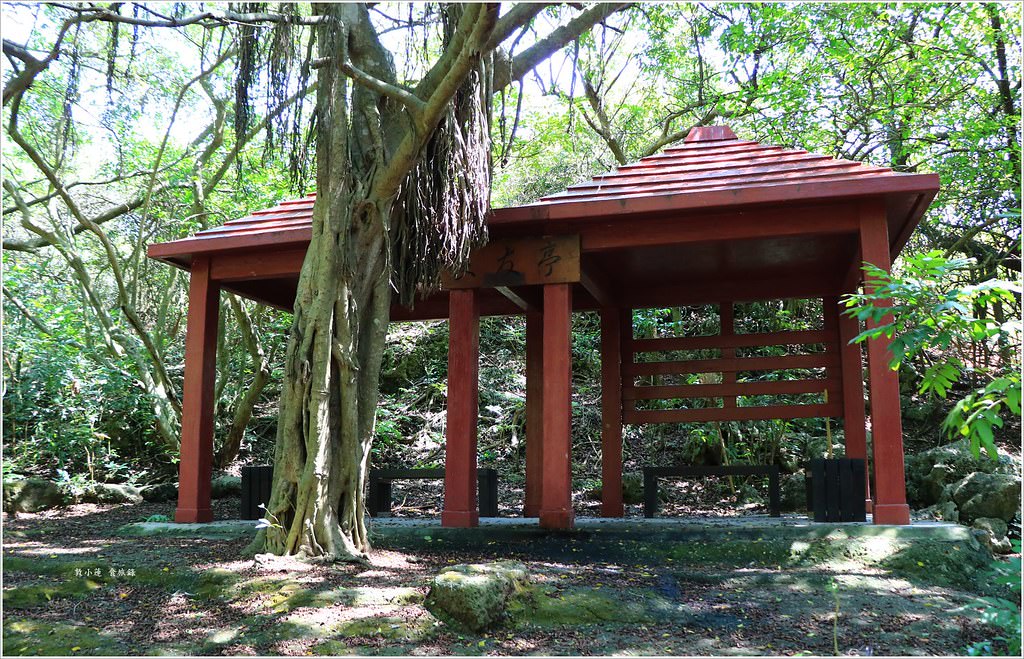 壽山國家公園‧柴山台泥舊地磅輸送口遺址,超多野生動物,行走3小時才走到出口 - 第23張圖 IMG_0229
