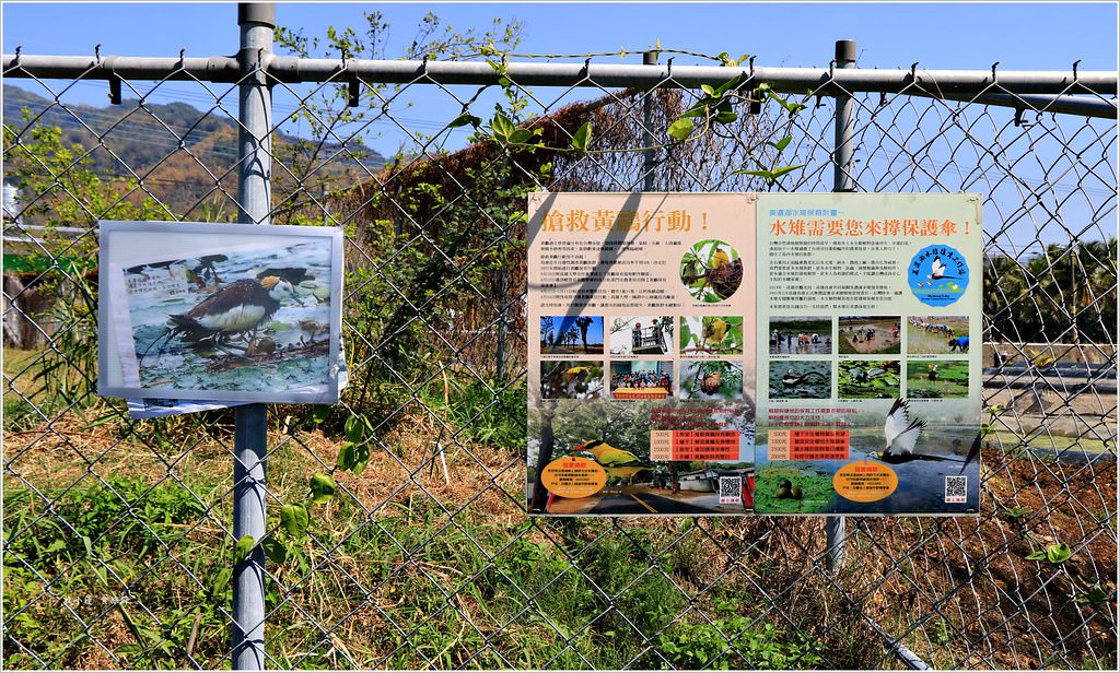 美濃湖‧湖中之美盡在美濃,環湖步道與單車共齊,幽靜的大自然花園 - 第14張圖 IMG_9358
