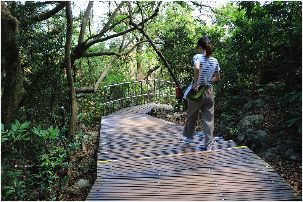 壽山國家公園‧柴山台泥舊地磅輸送口遺址,超多野生動物,行走3小時才走到出口 - 第43張圖 IMG_0312