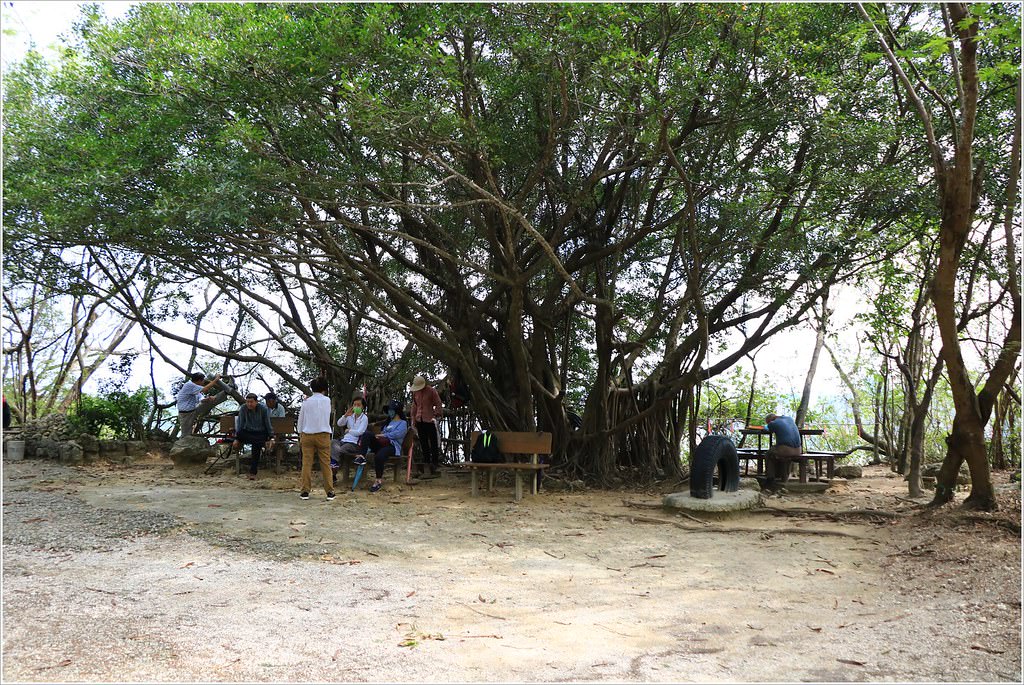壽山國家公園‧柴山台泥舊地磅輸送口遺址,超多野生動物,行走3小時才走到出口 - 第11張圖 IMG_0177
