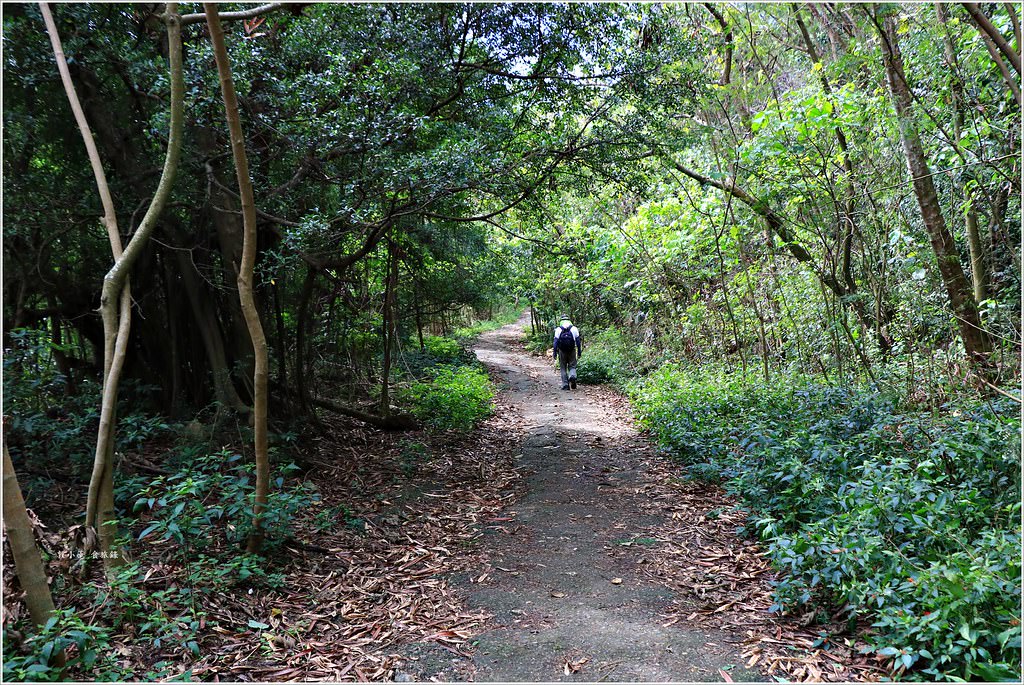壽山國家公園‧柴山台泥舊地磅輸送口遺址,超多野生動物,行走3小時才走到出口 - 第15張圖 IMG_0194