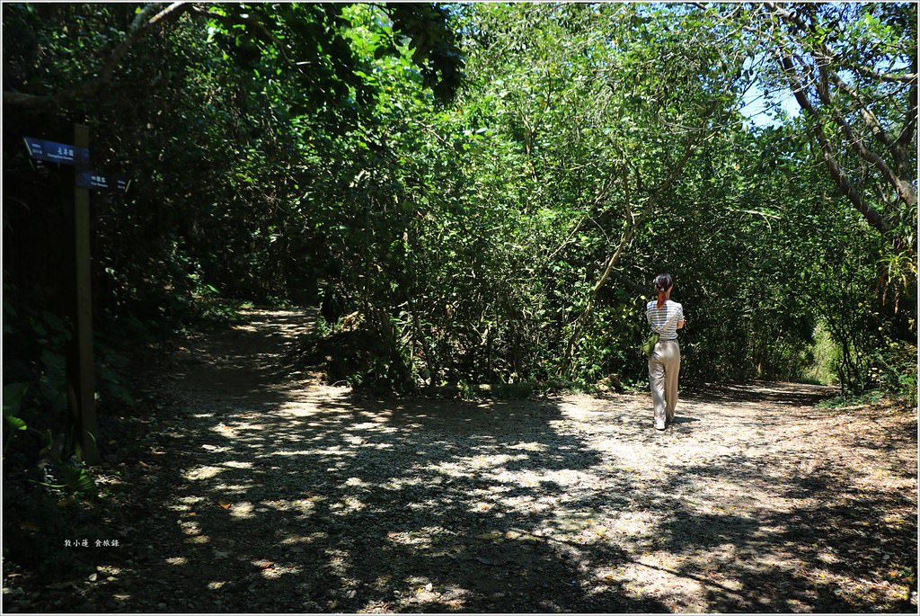 壽山國家公園‧柴山台泥舊地磅輸送口遺址,超多野生動物,行走3小時才走到出口 - 第33張圖 IMG_0274