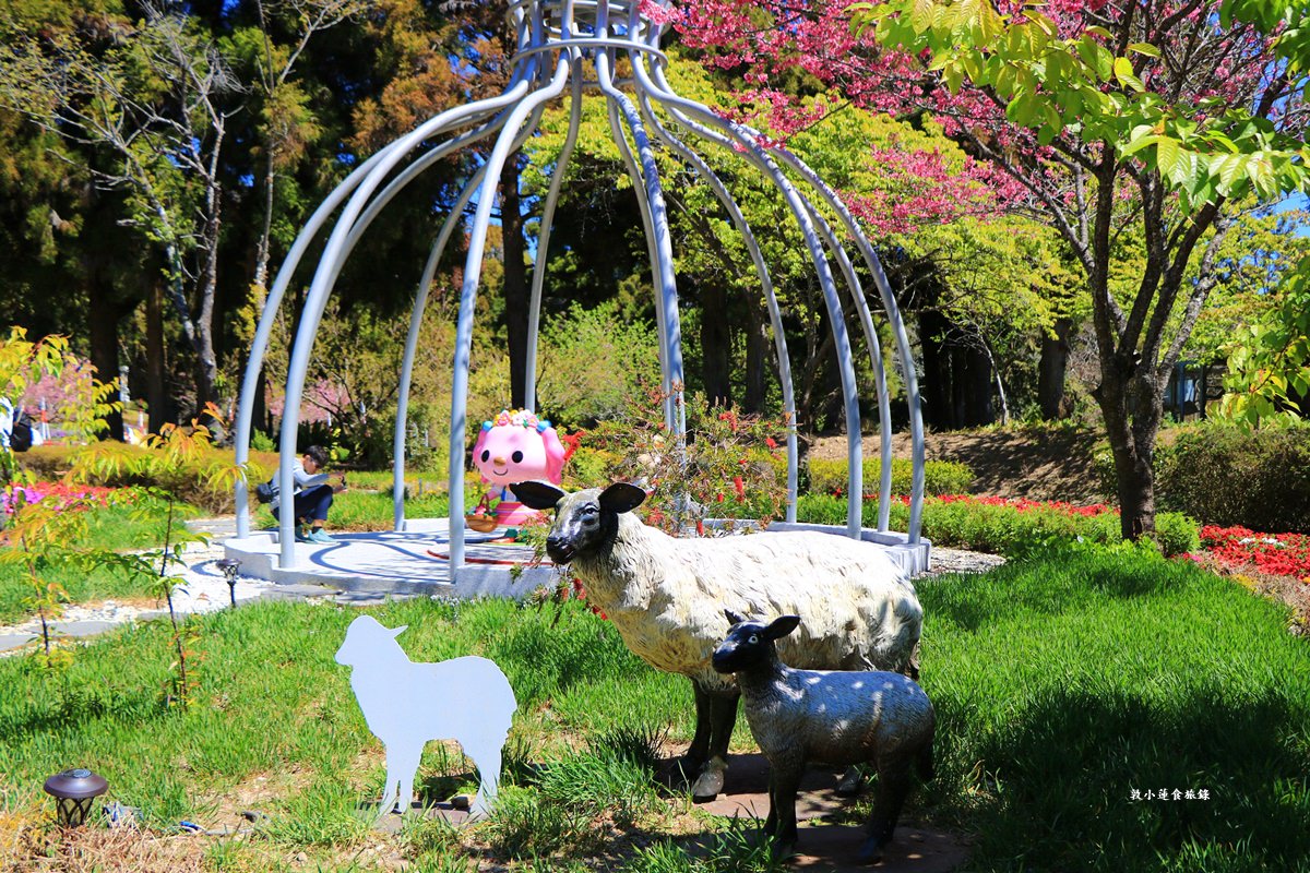 清境農場小瑞士花園‧著名的水上教堂、落羽松步道及綠光森林花園,晚上還有燈光秀 - 第15張圖 清境農場小瑞士花園‧著名的水上教堂、落羽松步道及綠光森林花園,晚上還有燈光秀