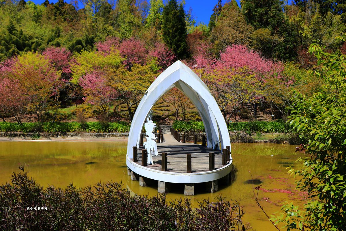 清境農場小瑞士花園‧著名的水上教堂、落羽松步道及綠光森林花園,晚上還有燈光秀 - 第21張圖 清境農場小瑞士花園‧著名的水上教堂、落羽松步道及綠光森林花園,晚上還有燈光秀