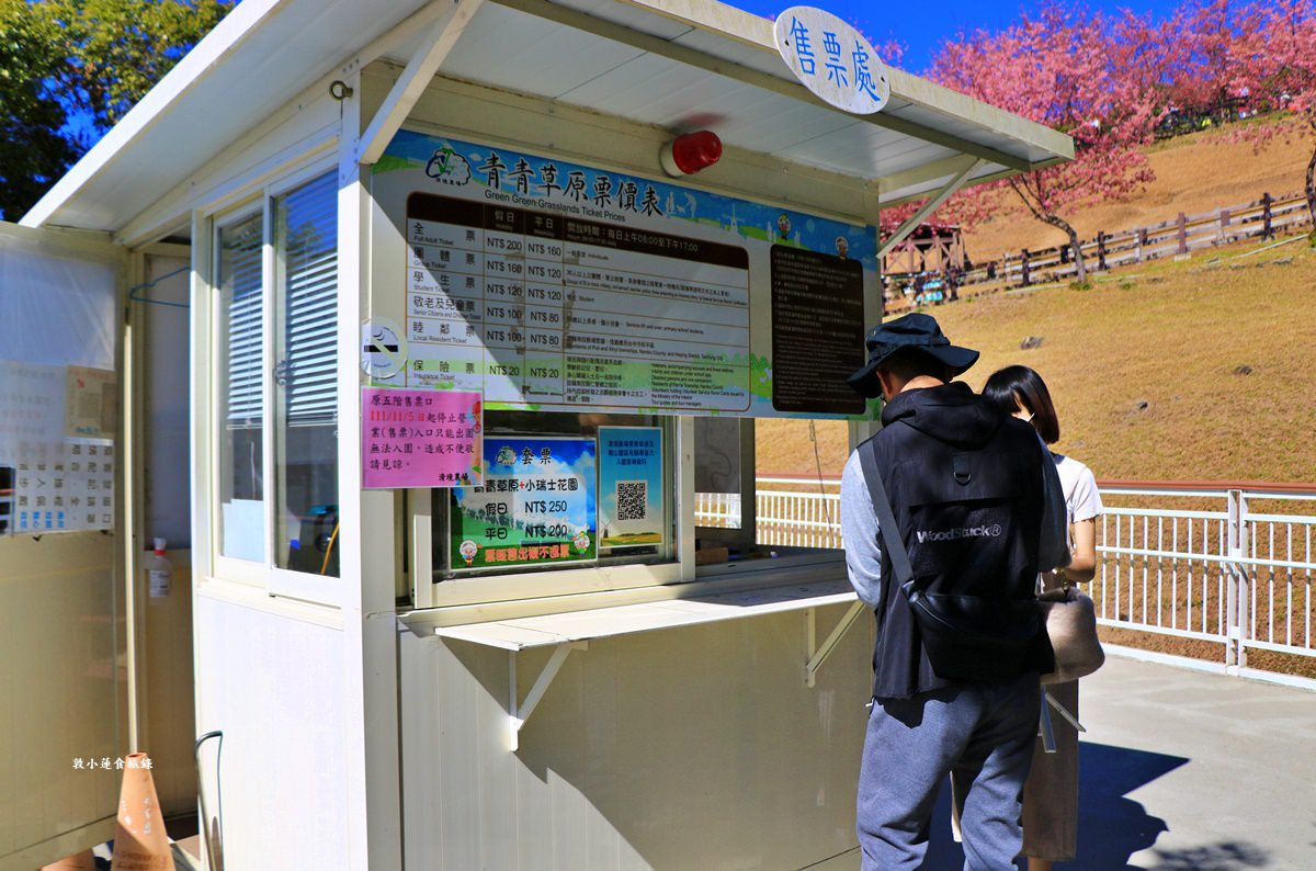 清境農場-青青草原‧櫻花盛開之際來看可愛的羊咩咩,綿羊秀只有假日才有 - 第3張圖 清境農場-青青草原‧櫻花盛開之際來看可愛的羊咩咩,綿羊秀只有假日才有