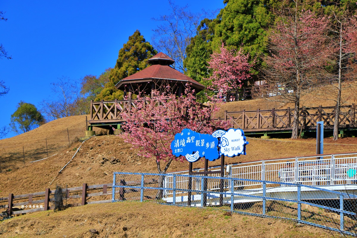 清境高空觀景步道‧一覽無遺中央山脈、合歡山系、奇萊群、能高山系