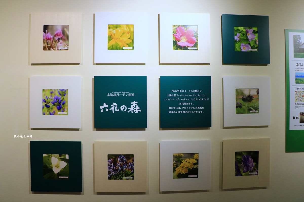 【北海道小樽】六花亭 小樽運河店‧北海道必買伴手禮‧經典花卉圖案酒糖、入門甜點草莓巧克力、萊姆葡萄奶油夾心餅乾 - 第5張圖 【北海道小樽】六花亭 小樽運河店‧北海道必買伴手禮‧經典花卉圖案酒糖、入門甜點草莓巧克力、萊姆葡萄奶油夾心餅乾