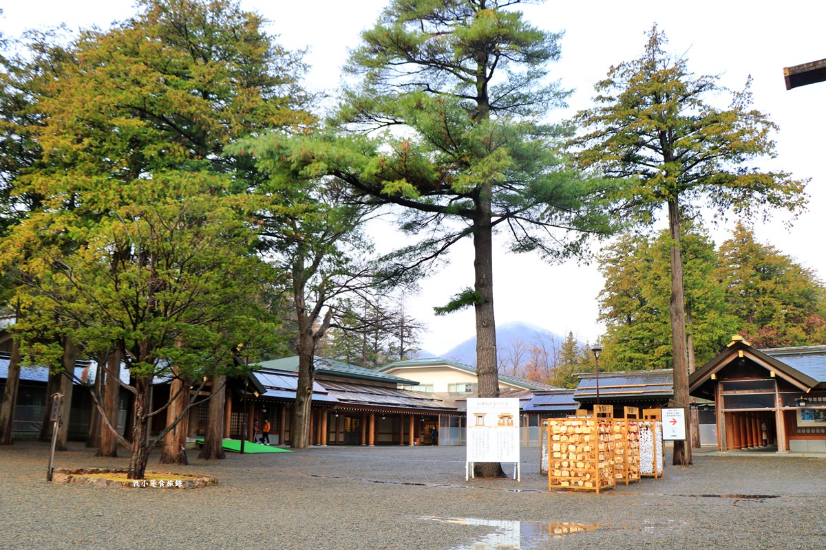【北海道札幌】北海道神宮‧北海道最大守護神,春櫻秋楓冬雪,一年四季皆如畫 - 第11張圖 【北海道札幌】北海道神宮‧北海道最大守護神,春櫻秋楓冬雪,一年四季皆如畫