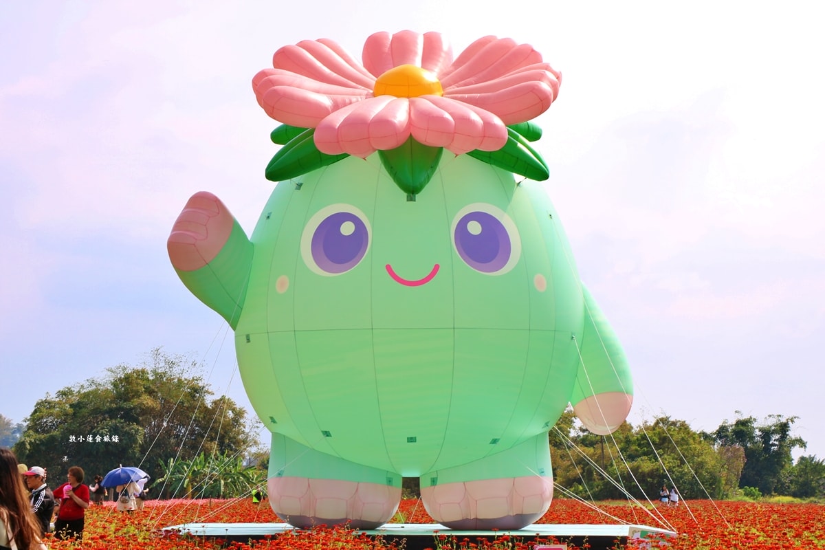 美濃海花‧美濃冬季最美的花海園,賞花期短暫花田將陸續翻耕 - 第2張圖 美濃海花‧美濃冬季最美的花海園,賞花期短暫花田將陸續翻耕