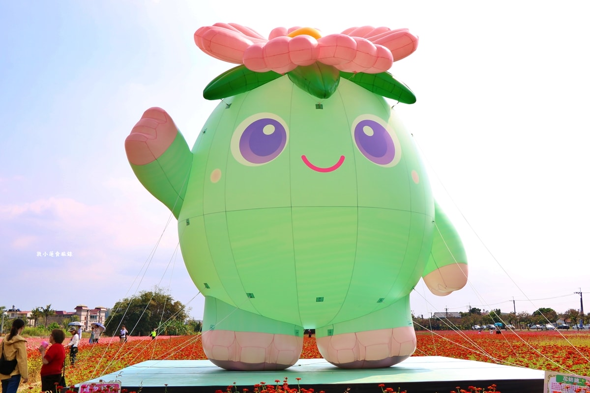 美濃海花‧美濃冬季最美的花海園,賞花期短暫花田將陸續翻耕 - 第11張圖 美濃海花‧美濃冬季最美的花海園,賞花期短暫花田將陸續翻耕