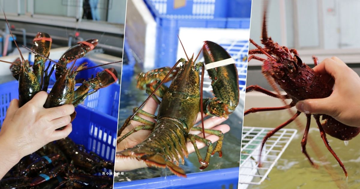 百川水產 生魚片活體專賣‧新店開幕搶便宜!!活體海鮮現撈現處理!!鮑魚、帝王蟹、龍蝦、黑鮪魚通通便宜賣給你!!【歇業】