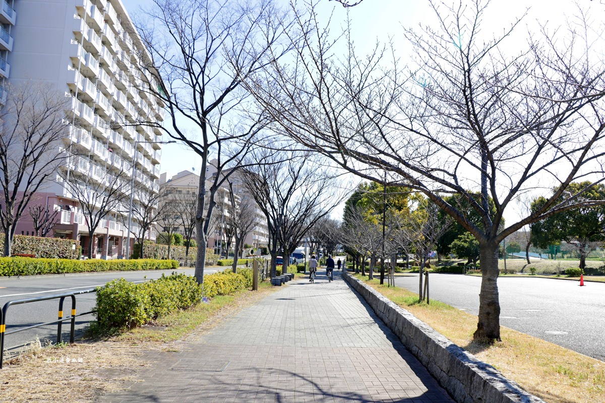 【東京南千住】汐入公園‧賞櫻就來汐入公園,河津櫻、寒緋櫻、大寒櫻、陽光櫻30種以上櫻花 - 第2張圖 【東京南千住】汐入公園‧賞櫻就來汐入公園,河津櫻、寒緋櫻、大寒櫻、陽光櫻30種以上櫻花