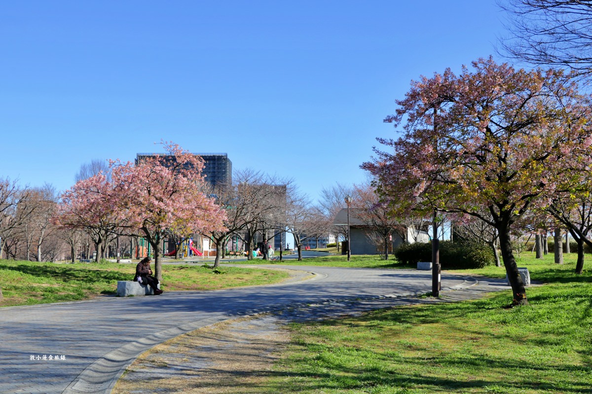【東京南千住】汐入公園‧賞櫻就來汐入公園,河津櫻、寒緋櫻、大寒櫻、陽光櫻30種以上櫻花 - 第6張圖 【東京南千住】汐入公園‧賞櫻就來汐入公園,河津櫻、寒緋櫻、大寒櫻、陽光櫻30種以上櫻花