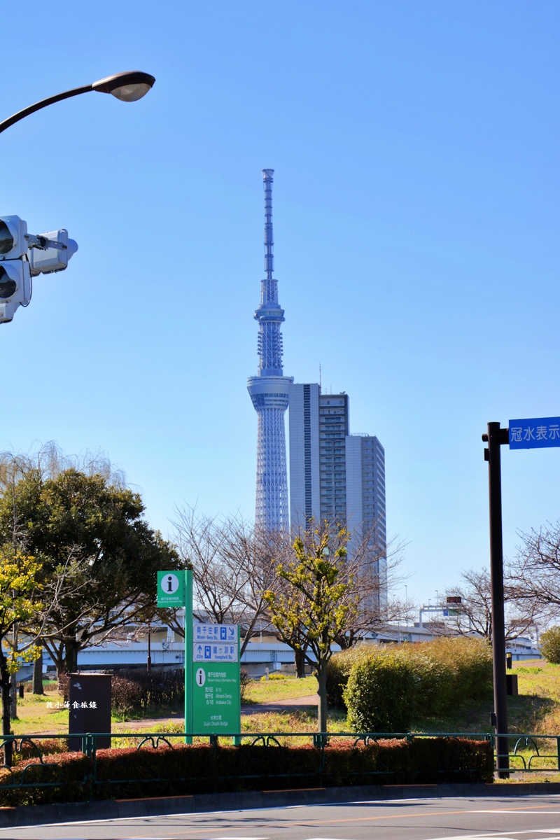 【東京南千住】汐入公園‧賞櫻就來汐入公園,河津櫻、寒緋櫻、大寒櫻、陽光櫻30種以上櫻花 - 第5張圖 【東京南千住】汐入公園‧賞櫻就來汐入公園,河津櫻、寒緋櫻、大寒櫻、陽光櫻30種以上櫻花